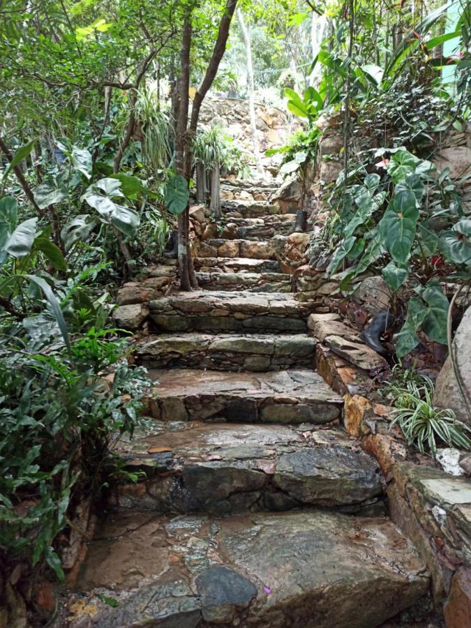 Casa Da Mata Descanso E Sossego Na Natureza Ibicoara Exterior photo