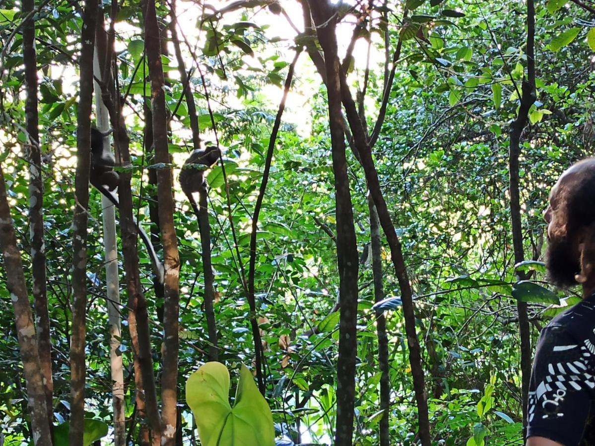 Casa Da Mata Descanso E Sossego Na Natureza Ibicoara Exterior photo